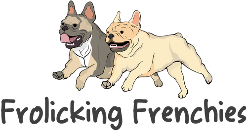 Frolicking Frenchies